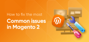 Read more about the article How to debug Magento 2 issues?