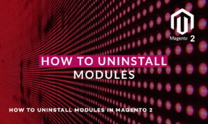 Read more about the article How to remove unused core modules from Magento 2?